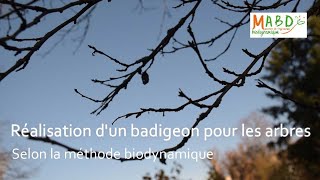 Réalisation dun badigeon pour le soin des arbres selon la méthode biodynamique [upl. by Garnes]