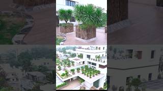 Discover the Art of LANDSCAPED Cascading Terrace Gardens  Design Talk [upl. by Lenroc]