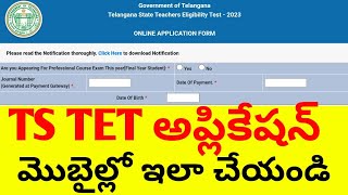 ts tet application process 2023ts tet 2023 applicationts tet online application [upl. by Marelda]