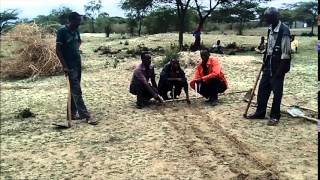 Building a soil bund to prevent soil erosion and conserve water [upl. by Franzoni]