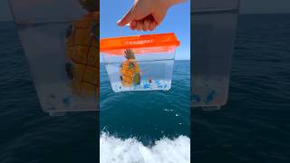 I Saved this Goldfish’s life😳 shorts [upl. by Anert]