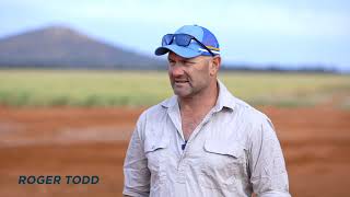 Optimising soils and available water to improve drought resilience  Condobolin grower Roger Todd [upl. by Enilrek965]