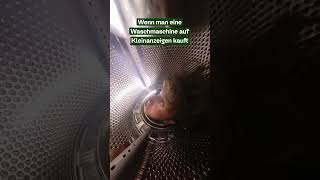 Wie riecht die Waschmaschine 👃🏻👀 360grad kleinanzeigen lustig [upl. by Ias]