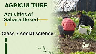 sst class 7 ll Agriculture Activity of Sahara Desert agriculture saharadesert Sarojininaiduma [upl. by Ramin]