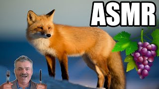 ASMR  Le Renard amp les Raisins  Les Fables de la Fontaine lecture par Léa [upl. by Oidgime431]