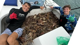 WE FOUND A SPOT INFESTED WITH BUGS COMMERCIAL LOBSTER DIVING IN FLORIDA [upl. by Koy]