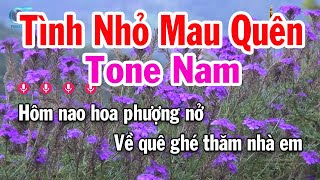 Karaoke Tình Nhỏ Mau Quên Tone Nam  Dm  Nhạc Sống Beat Mới  Karaoke Tuấn Cò [upl. by Asik738]