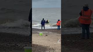 Porpoise rescue UK porpoise uk rescue phoenixfirehengamingtv saltwater [upl. by Gemoets]