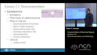 nanoHUBU Bioelectricity L25 Chemical Basis  Neurotransmitters and Pathology [upl. by Seraphine]