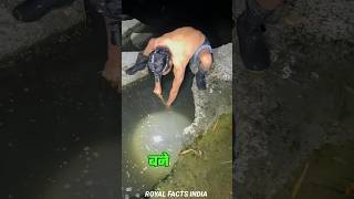 Sink Hole Fishing 🤯😱 shorts fishing fish [upl. by Hbahsur]