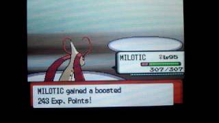 EXTREME EV Training Milotic 69 Sp Attack [upl. by Ahcila]