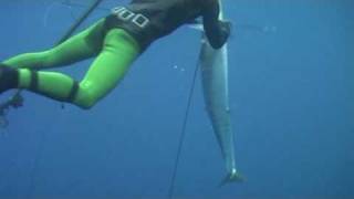 Spearfishing Wahoo  Cape Vidal [upl. by Habas299]