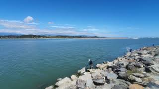 Hokitika River Whitebait season 2020 [upl. by Ahsad792]