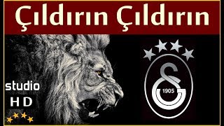 Çıldırın Çıldırın Stüdyo  Galatasaray Marşları [upl. by Ayel]