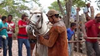 PEGA DE BOI FAZENDA RIACHO DO ANGINCO  GERALDINHO DE LOSA  PARNAMIRIMPE [upl. by Aenil]