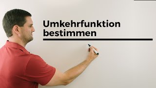 Ablauf Umkehrfunktion bestimmen  Mathe by Daniel Jung [upl. by Gunzburg]