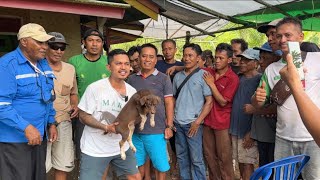 FLOKI JUNIOR DARI KALIMANTAN TIMUR ‼️ SEMUA ORANG HERAN LIHAT KEPINTARANNYA [upl. by Brandtr]