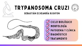 TRYPANOSOMA CRUZI Ciclo biológico Vector Clínica Diagnóstico y Tratamiento  Parasitología [upl. by Richel]