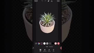 Change your backgrounds with Picsarts smart background tool [upl. by Asfah799]