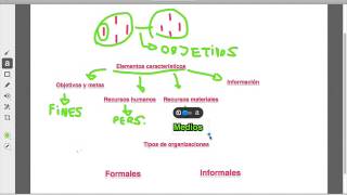 Las Organizaciones  Concepto [upl. by Yntrok]