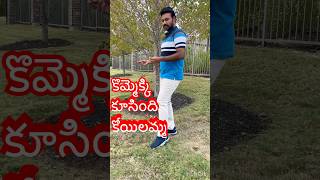 Kommekki koosindhi koyilammayoutubeshorts shorts trendingshorts chiranjeevi [upl. by Tran96]