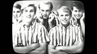 The Beach Boys  quotApple Bottom Jeansquot 1963 [upl. by Nameerf749]