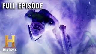 Ancient Aliens INSECT GODS OF DEEP SPACE S7 E7  Full Episode [upl. by Juliette56]