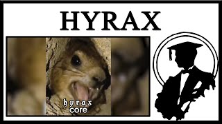 Hyraxes Are Cool [upl. by Yorgen854]