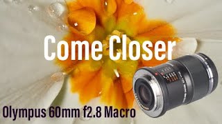 Olympus 60mm f28 Macro Lens  Take A Closer Look At Life [upl. by Currie]