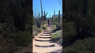 Saguaro National Park [upl. by Seni799]