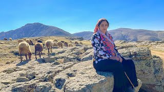 IRAN nomadic life  daily routine village life of Iran  Nomadic lifestyle of Iran [upl. by Wahs62]