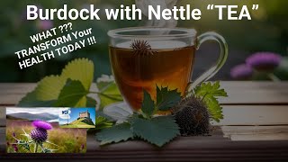 How Burdock amp Nettle Tea Can Transform Your Health [upl. by Ten]