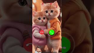 Cat call you video call shortsvideo [upl. by Arrahs712]