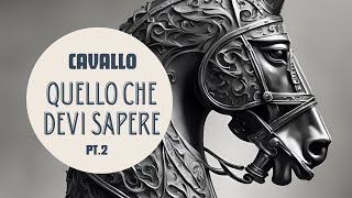 CAVALLO Quello che devi sapere PARTE 2 [upl. by Noe248]