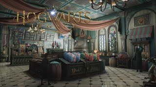 Inside Honeydukes Ambient  Hogwarts Legacy  HD [upl. by Adnwahsor275]