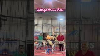 Vintage circus dog show dogshow circus shorts shortsyoutube trending [upl. by Llohcin]