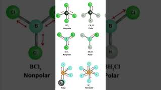 Polar amp Nonpolar bondphysicswallah chemical shorts shortsviral [upl. by Enelad]