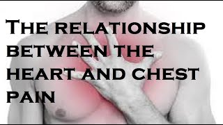 The relationship between the heart and chest pain [upl. by Kamin448]