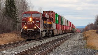 CP 8717 Leads CP 113 at Murillo 100224 [upl. by Ielak665]