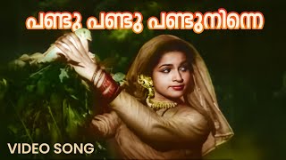 Pandu Pandu Pandu Ninne Video Song  Raarichan Enna Pauran  Mehboob  K Raghavan [upl. by Sirraf889]