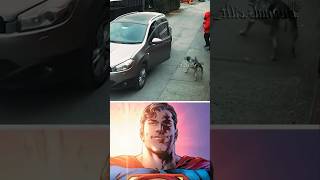 Stray dog Saved the girl shorts superman starman wholesome dog memes [upl. by Akessej]