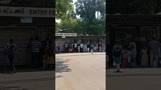 Vandalur Zoo Ticket Price 2024 amp Visiting Hours shorts [upl. by Pardoes]