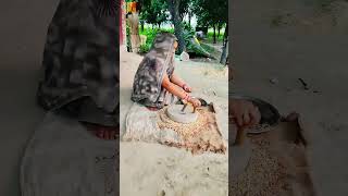 Tel wala gana 🤑 bhojpuri 🤑 dance [upl. by Iak]