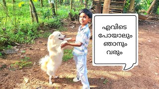 പുറത്തിറങ്ങുമ്പോൾ എന്നേം കൊണ്ടോവോ leodog petowner dogowner funny funnyanimal leo dog [upl. by Roxy]