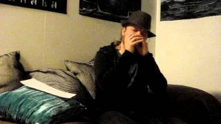 Eluveitie  Inis Mona Harmonica cover [upl. by Clancy]