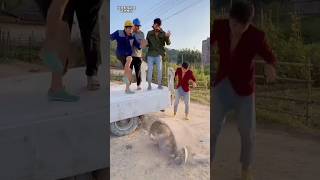 Chinesemostfunnyvideoshortsshortsvideo😭😭🤣😭🤣🤣 [upl. by Rumit]