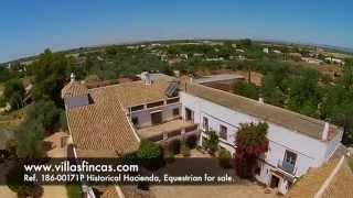 Equestrian in Andalusia near Seville [upl. by Ecnerrot]