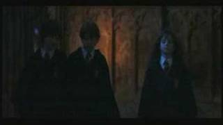 Harry Potter and the Sorcerers Stone Deleted Scene 4 [upl. by Cirtemed369]