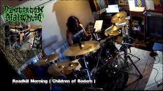 Hellhounds on My Trail  Roadkill Morning COB drum cover by Demogorgon Malignum [upl. by Nnire]