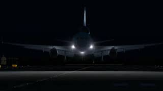 Korean Air Cargo Flight 6316  Crash Animation [upl. by Avelin934]